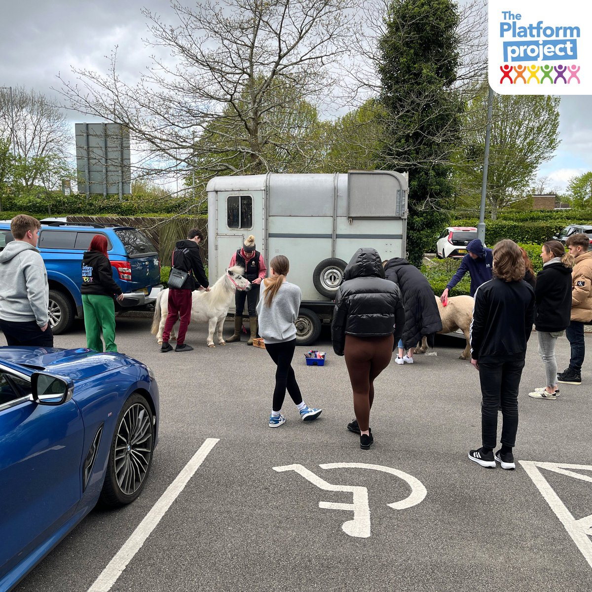 SwindonPlatform's tweet photo. A HUGE thank you to Sarah at Dinky Ponies for visiting our office today and introducing our students to the world of tiny horsies!!! We love a good bit of randomness at The Platform Project and this certainly fit the bill! 😂 
Everyone went home with big smiles on their faces!! https://t.co/Qa4dFVj6uq