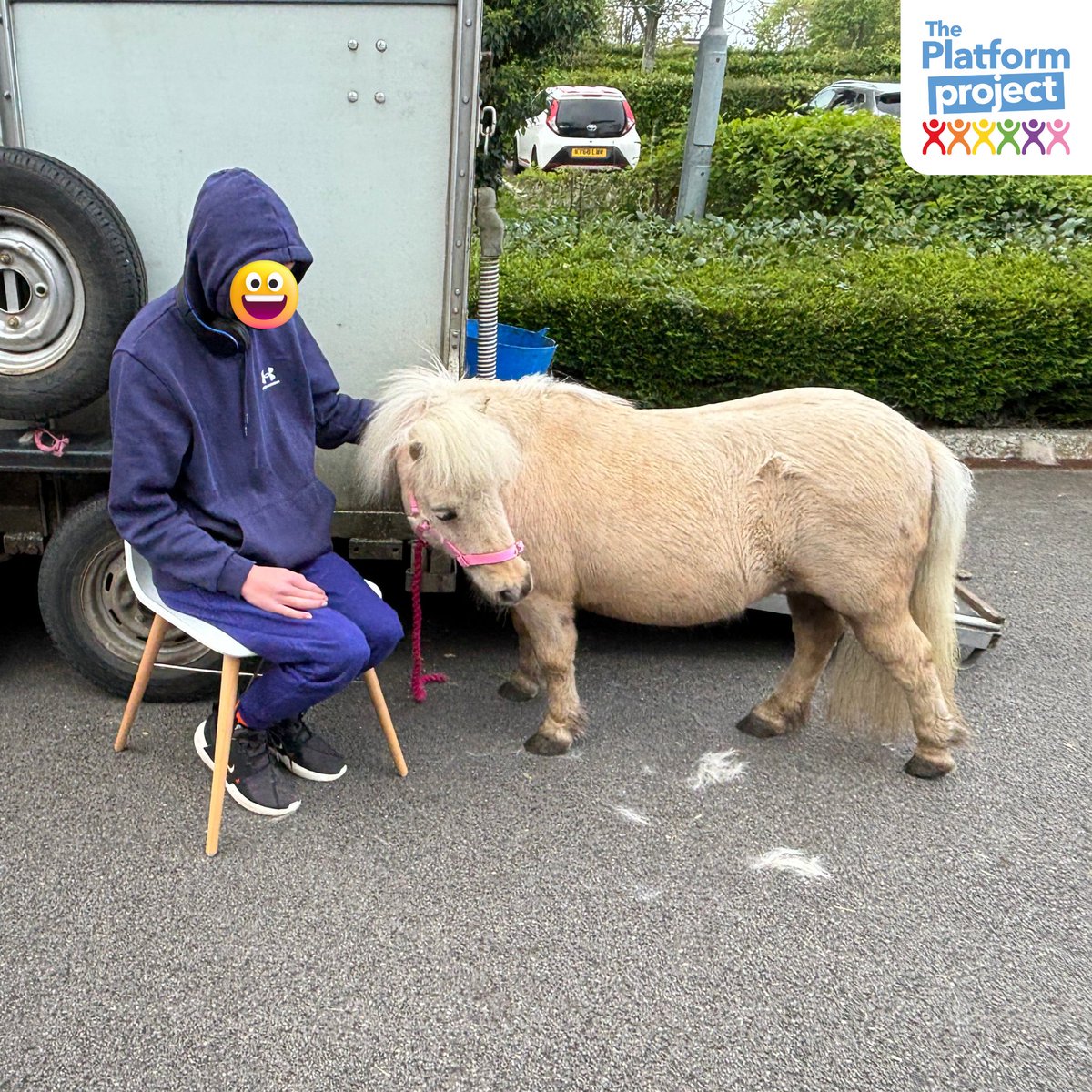 A HUGE thank you to Sarah at Dinky Ponies for visiting our office today and introducing our students to the world of tiny horsies!!! We love a good bit of randomness at The Platform Project and this certainly fit the bill! 😂 
Everyone went home with big smiles on their faces!!
