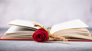 AnnaSerraMoia's tweet photo. Ja arriba el Sant Jordi 2024, un any més la cultura, els llibres i les flors hi seran ben presents. Bon Sant Jordi a tothom. https://t.co/rQPkqOMYwq