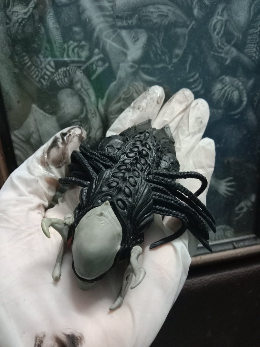 Mirage_TC_'s tweet photo. Update sculpture Predalien action figure(silicone hair part)

อัพเดทงาน ปั้นพรีเดเลี่ยนแบบขยับได้ครับผม☺️
(เวอร์ชั่นผมซิลิโคนครับเป็นยังไงสามารถแสดงความคิดเห็นได้เลยครับ🥰)

#sculpture #predalien #prey #predator #alien #avpr #alienvspredator https://t.co/d1dII7w8W8