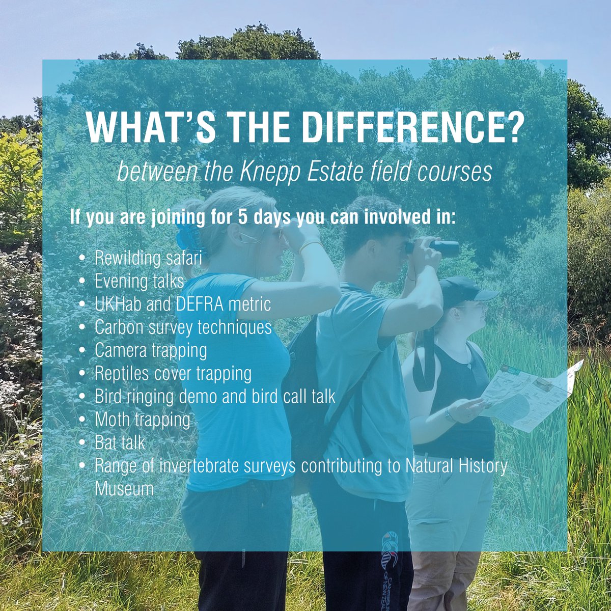 Operation Wallacea tweet media