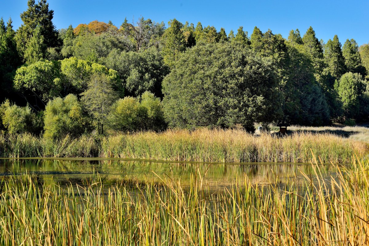 CAStateParks tweet picture