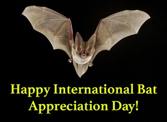 #InternationalBatAppreciationDay 🦇!!