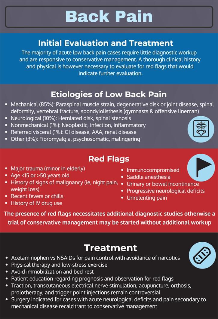 Whether you are a patient or a physician (all specialties) read this infographic.

Feel free to share!

Infographic from: Shah, The Infographic Guide To Medicine.

#LowBackPain #BackPain #PainManagement
