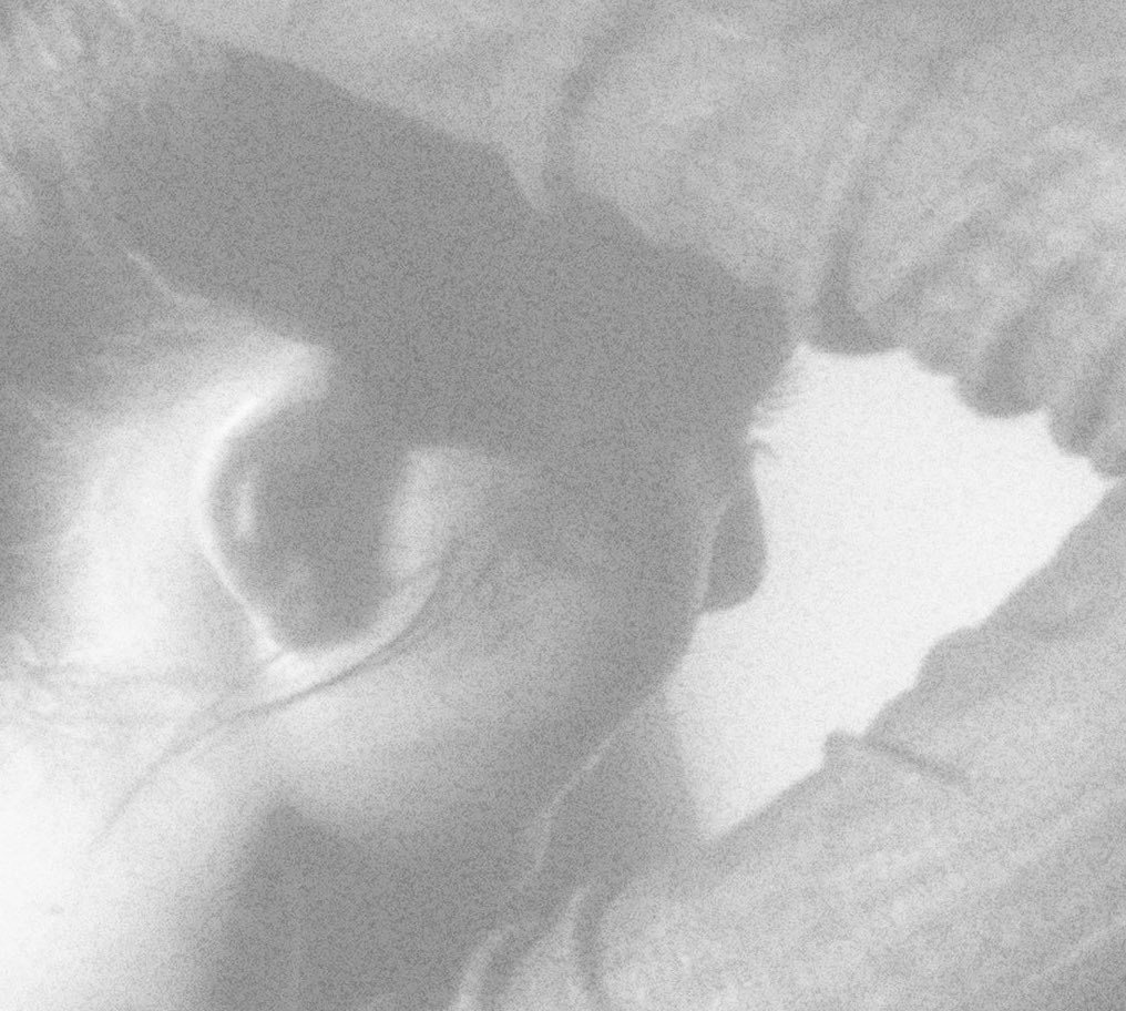 _DC_Irene's tweet photo. IRENE Silhouette
#IRENE_PAGE_2 https://t.co/iGCnfevTsn