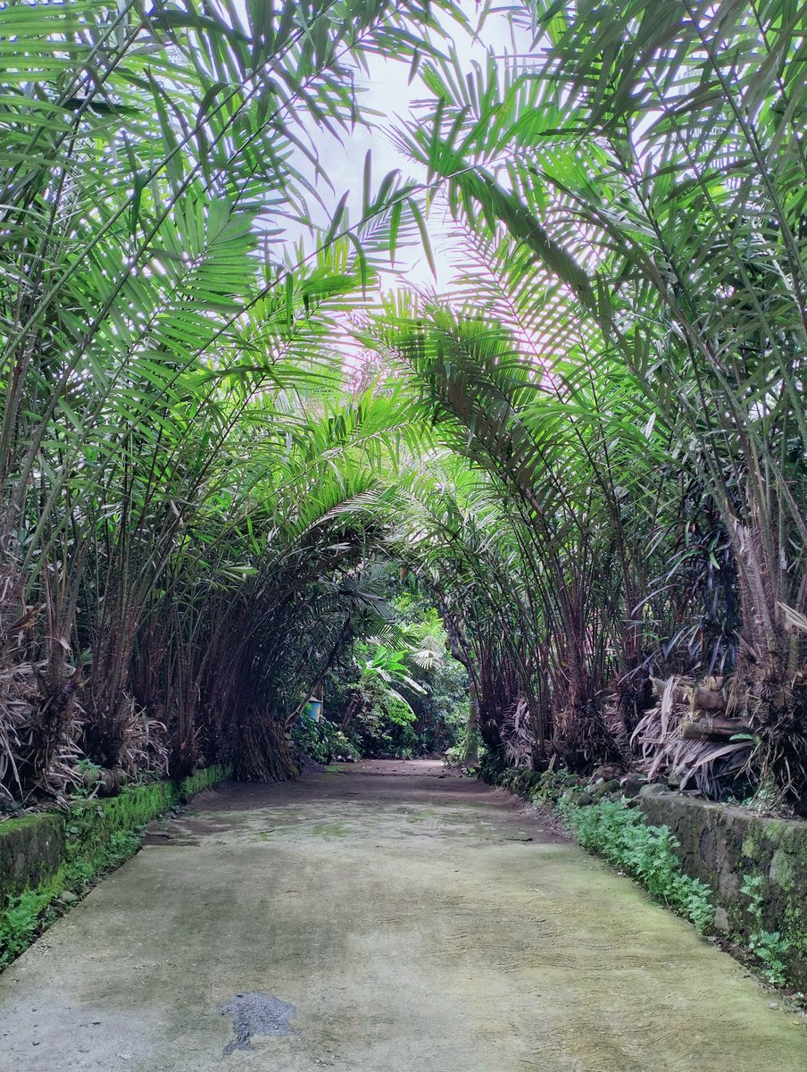 Kembali ku di lorong bisu
Di keping rindu berlumut ragu
berdialog dengan diri
Bertanya pada sunyi
Mencari hakekat hidup
Ditengah ketakberdayaan 
Memaknai keadaan 
Rinduku pada ilmu kesabaran
Terjerat bisikan setan 
Yang masih tak terabaikan

#NyanyianJiwa