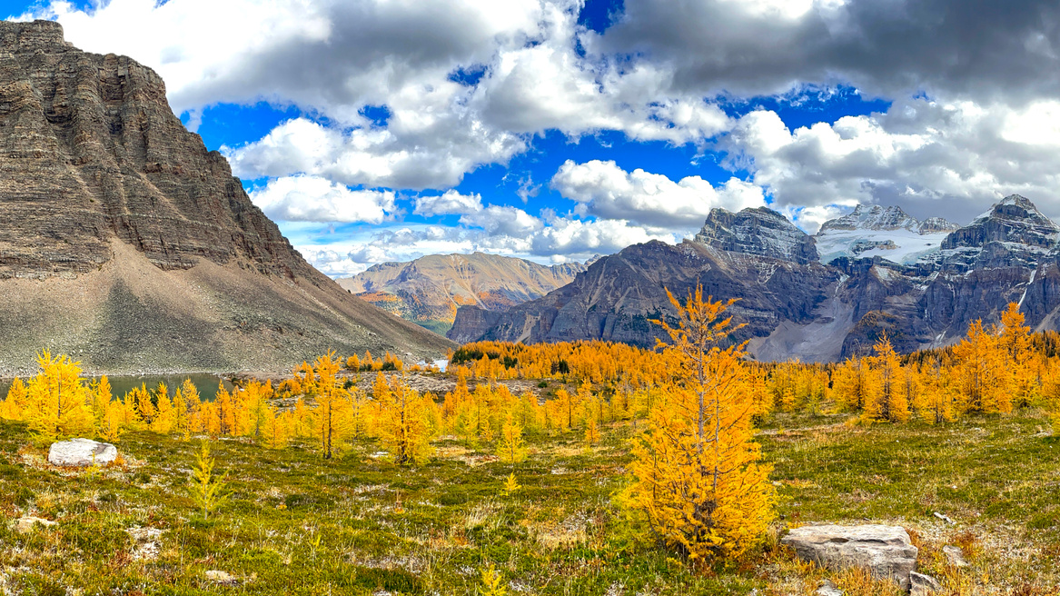 Perfect Larch viewing time in Sentinel Pass in Banff National Park
#hikemorainelake #hikelakelouise #giantstepswaterfall #giantsteps #paradisevalley #sheolmountain #mounttemple #lakelouisehiking #morainelakehiking #sentinelpass