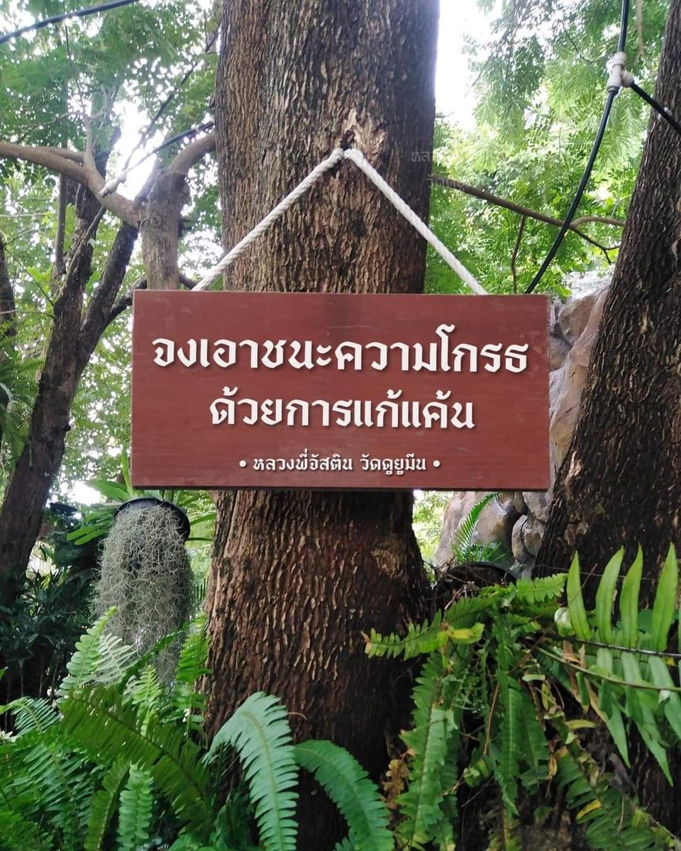 Basniixz's tweet image. ชีวิตถ้ามัวแต่ให้อภัย
แล้วเมื่อไหร่จะได้แก้แค้น
😂😂😂😂😂😂