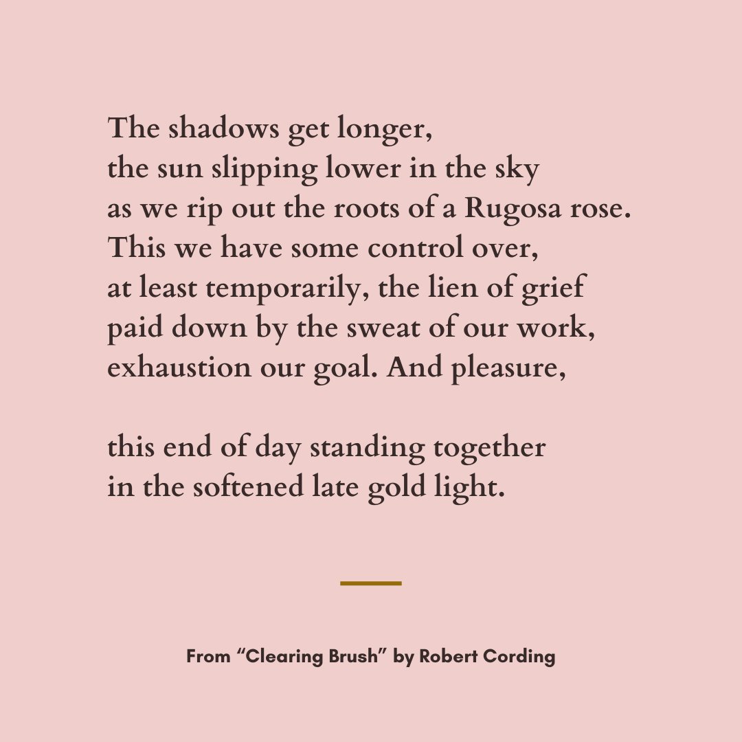 This we have some control over, at least temporarily, the lien of grief paid down by the sweat of our work, exhaustion our goal. —From “Clearing Brush” by Robert Cording. Full poem: tinyurl.com/4m8p3wfz #poems #poetry #poetrylovers #litmag
