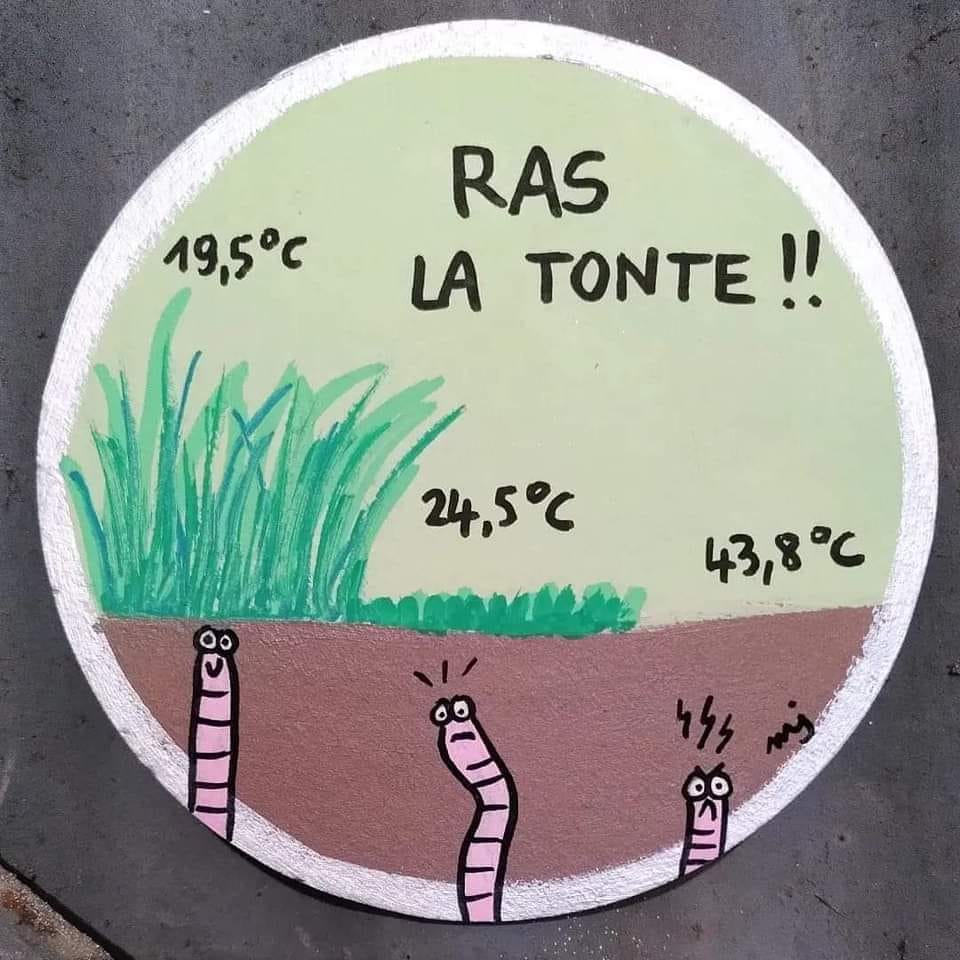 AuroreDps's tweet photo. Même à petite échelle on peut oeuvrer pour la planète. https://t.co/2A2mysp7rO