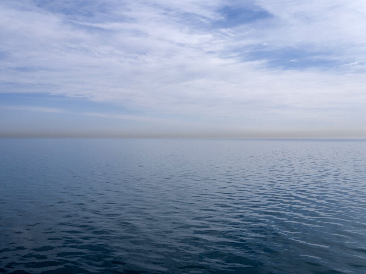 Wild Ducks on the Chicago River by Sterling North, captures perfectly an impulse that I have felt many times myself when photographing Lake Michigan and the surrounding landscape. There is something about seeing wildlife, from the expected animals like ducks and geese to the more