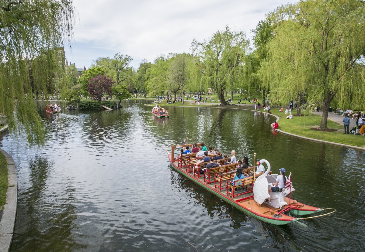 The #SwanBoats have returned to the #Boston #publicgarden for a new season. Thanks to the Paget Family for carrying on this glorious tradition since 1877! @swanboats @BostonParksDept @CSTravelTourism @BostonCentral irishboston.org/swan_boats.php