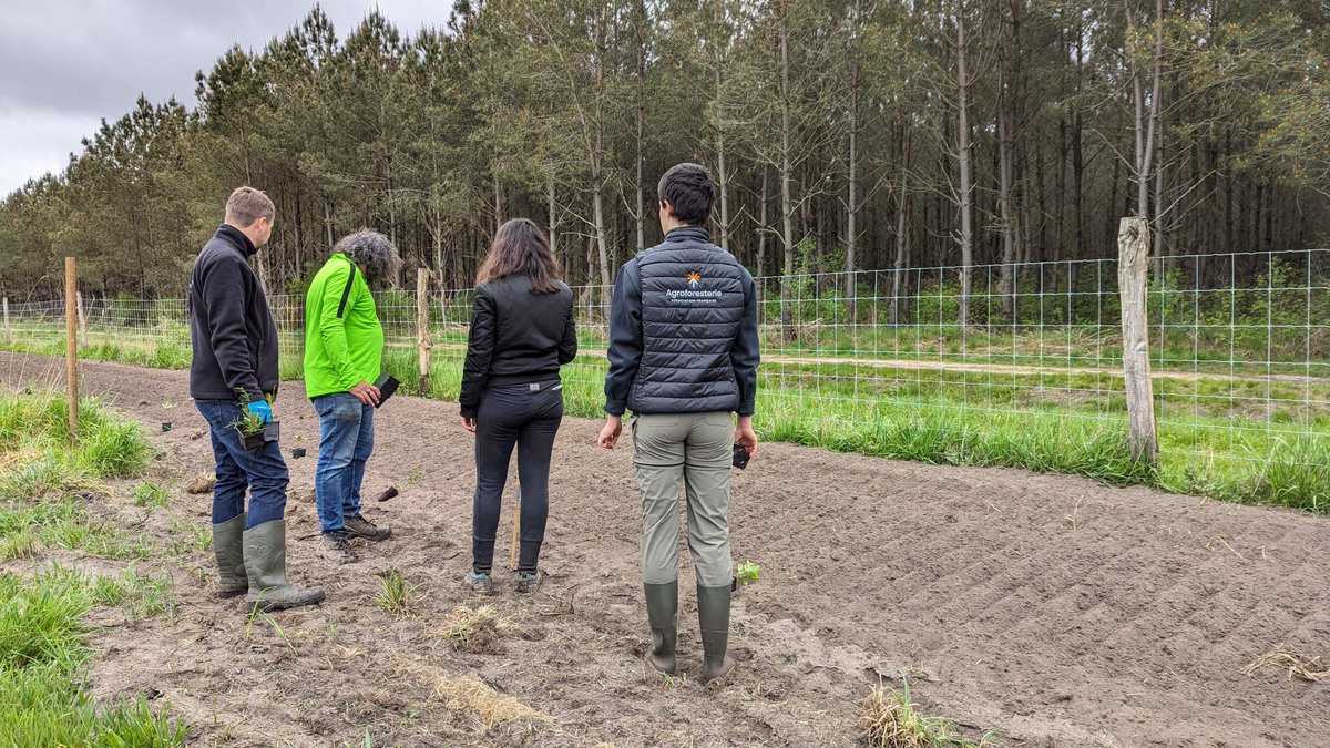 Agroforesterie tweet picture