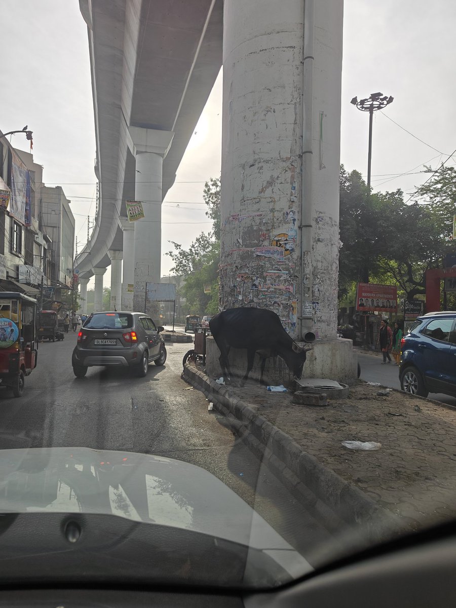 Now posters removed by @MCD_Delhi as elections going on! I sent many complaints on posters pasted on @OfficialDMRC but no actions taken by anyone
Reiterate as dirty posters of @BJP4Delhi @AAPDelhi removed please clean-paint pillars with artwork done by NDMC @LtGovDelhi  intervene