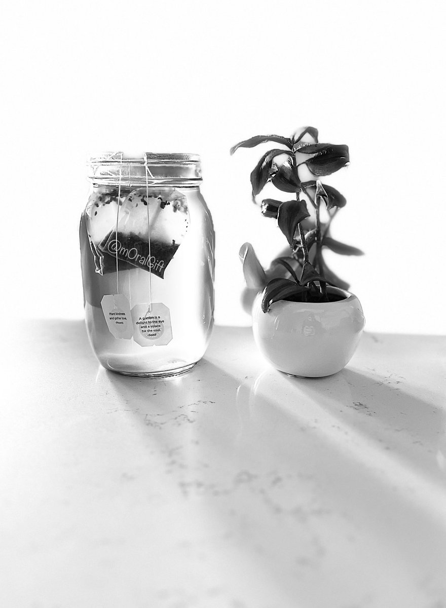 mOralGift's tweet photo. Greetings, sweet souls!

I’m diligently working on four new videos to share with you all. 

I will release each video as I complete them. 

You will be marveling at these men and all their beauty—inside &amp; out. ✨🍆

VERY SOON!

Until then…

Plant kindness and gather love!

🌱🌹 https://t.co/pUb248TrtN