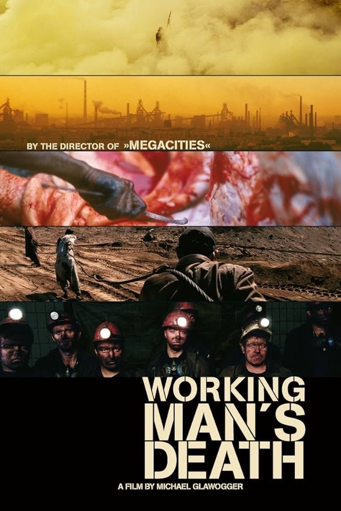 We conclude our mini-season dedicated to the Austrian filmmaker Michael Glawogger with the movie 'Workingman's Death', for which Glawogger received awards at the London Film Festival. Thursday 25 April 2024 7:00 PM at the Austrian Cultural Forum Book your ticket on our website