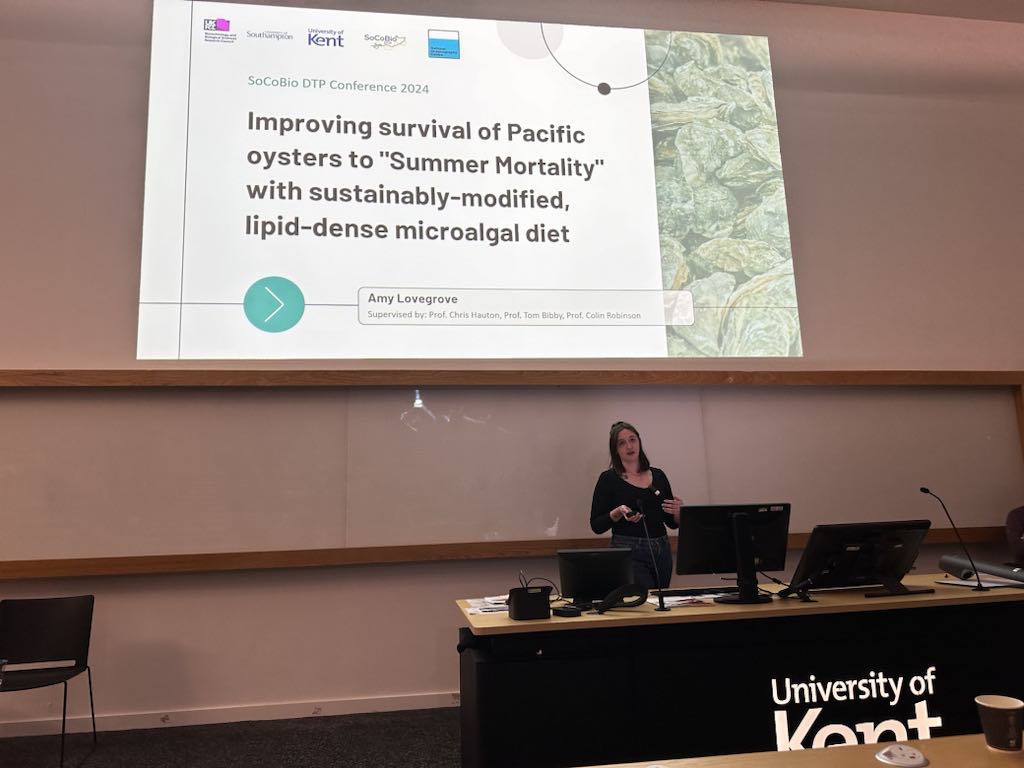 phyco_amy's tweet photo. 2nd talk in 2 weeks! This time at the @SoCoBioDtp conference in Kent 🧬 last hurrah of the PhD and it's so lovely to hear all the works that's been going on over the last year, and of course getting to see fellow SoCoBio-ers from other unis 🥰 

#phdlife #conferencing #stem #dtp https://t.co/rlnq6ce4re