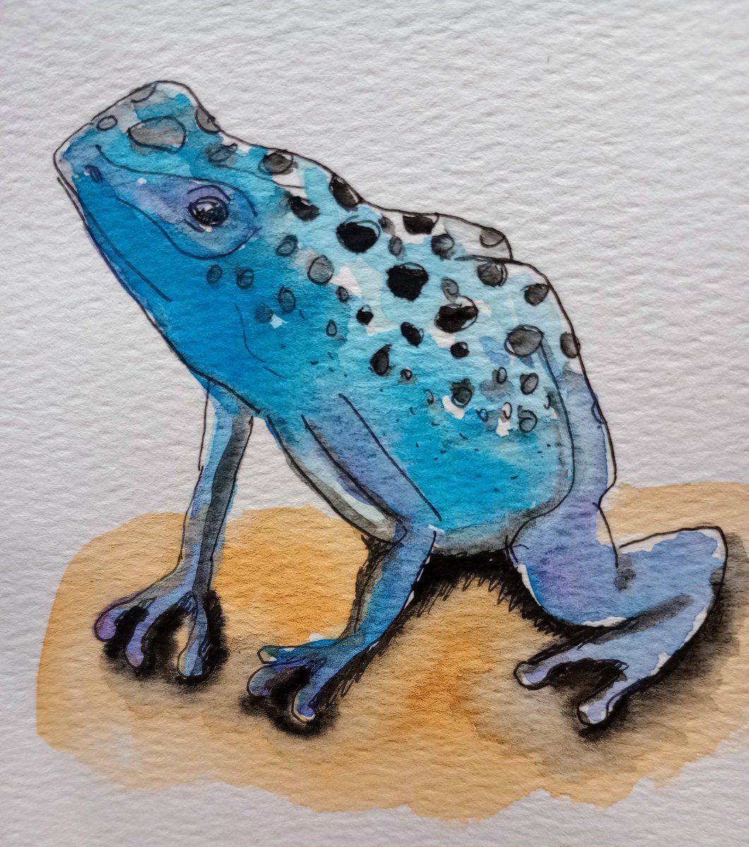 ksneathart's tweet photo. Thank you for all my birthday wishes! 💕🤗 Here is my next frog for #FrogApril Poison Dart Frog. Have a great day! #poisondartfrog #frogapril2024 #frogpainting https://t.co/OCXTDelkrh