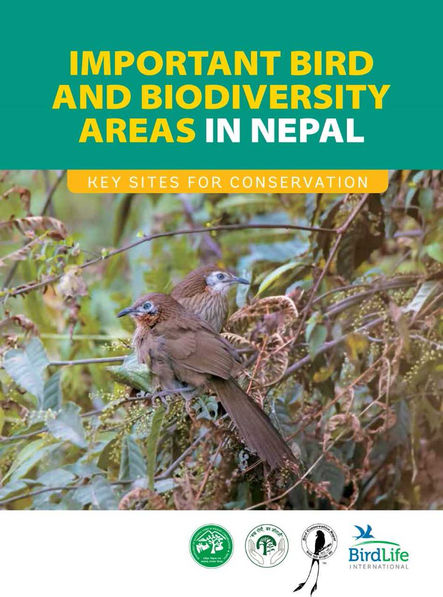 I congratulate @birdlifenepal @BirdLife_News @DNPWC_Nepal for the #IBA book release. Nepal's 42 IBAs if managed well can save >80% of bird & biodiversity. Honored to be part of the writing team with @InskippCarol, Ishana & Mike. Development agencies pls ensure consultation!