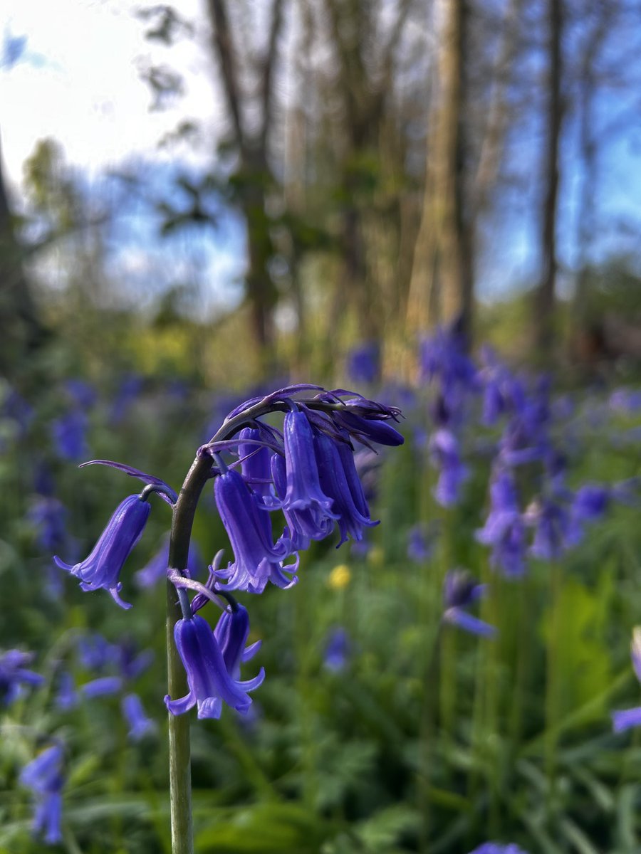 RyanB - Next Gig: Sleep Token tweet media