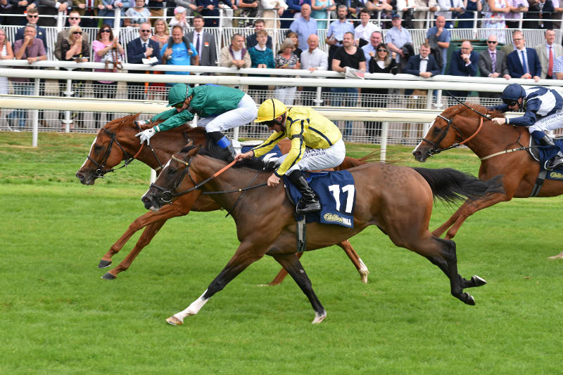 Raven's Lady beats Pretty Baby in the 2018 @yorkracecourse Summer Stakes G3, what a race that was. RL's first foal is G1 placed Ramatuelle, PB's first foal is Nell Gwyn Stakes winner Pretty Crystal.