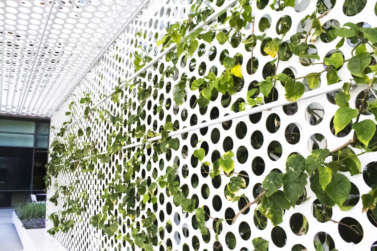 AmicoArchMetals's tweet photo. This pavilion was a part of a renovation to an office park. The design team brilliantly replaced expansive concrete with plant beds and pavilions to create a desirable place of being #architecturehunter #architecturedose #architecturefactor #architecturegram #pavillion #sunshades https://t.co/csxmka8zCm