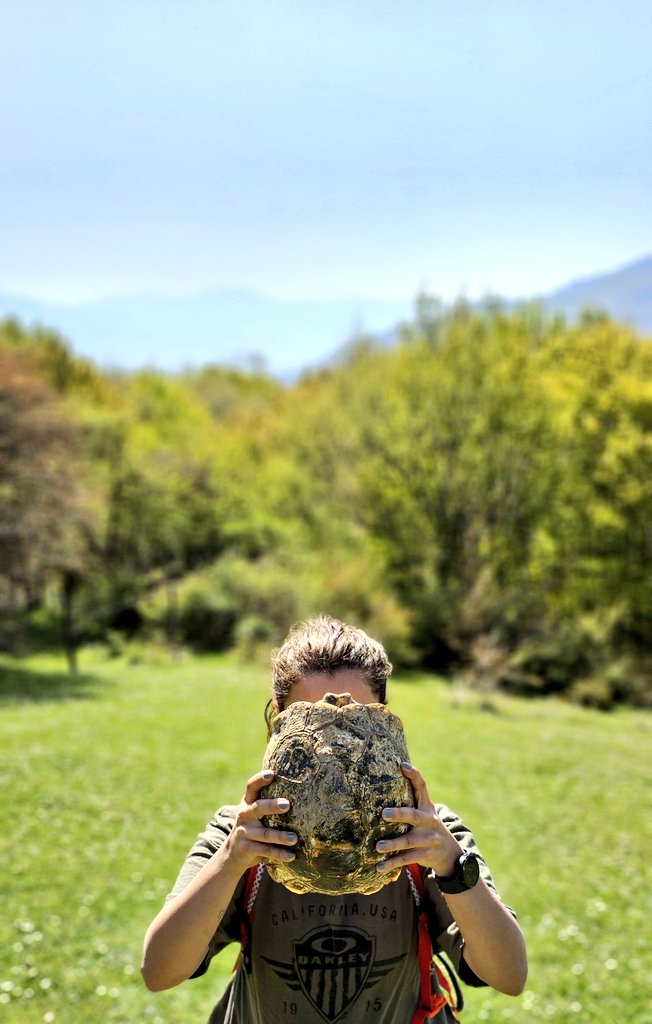 I just love animals🐾 all of them🤍🦋🐢