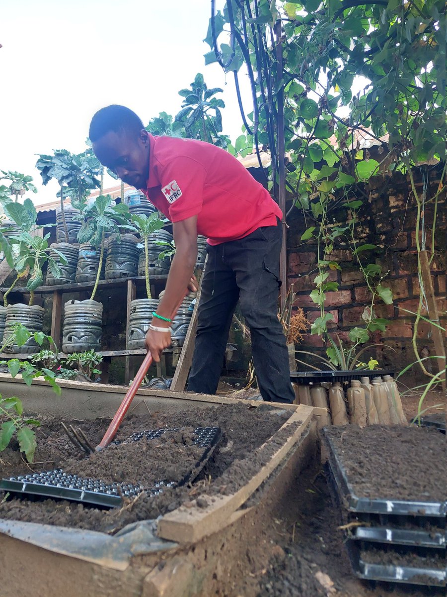 Watch out world, #Kamwanyi's green space just got a whole lot greener! 🌱 @PeterT130 Our passionate farmer is nurturing the future of farming right here in our community. Let's grow together! @HolisticActions @NickBrianz @dreamtownngo @HerCityToolbox