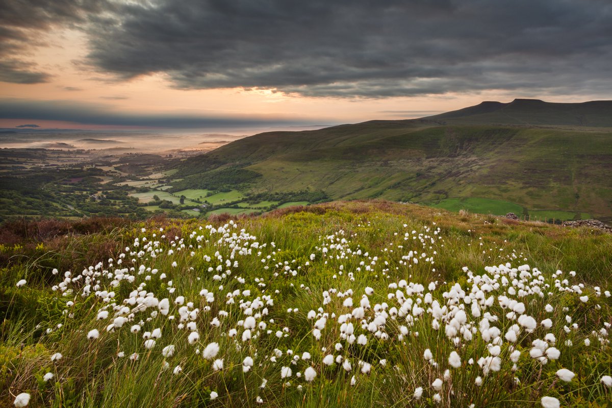 Today marks the 67th anniversary of @BannauB in Wales! 🎂67 yrs of preserving breath-taking landscapes and wildlife from the rugged peaks to the tranquil valleys. Join us in celebrating this milestone and honouring the natural beauty and rich heritage of the Brecon Beacons.