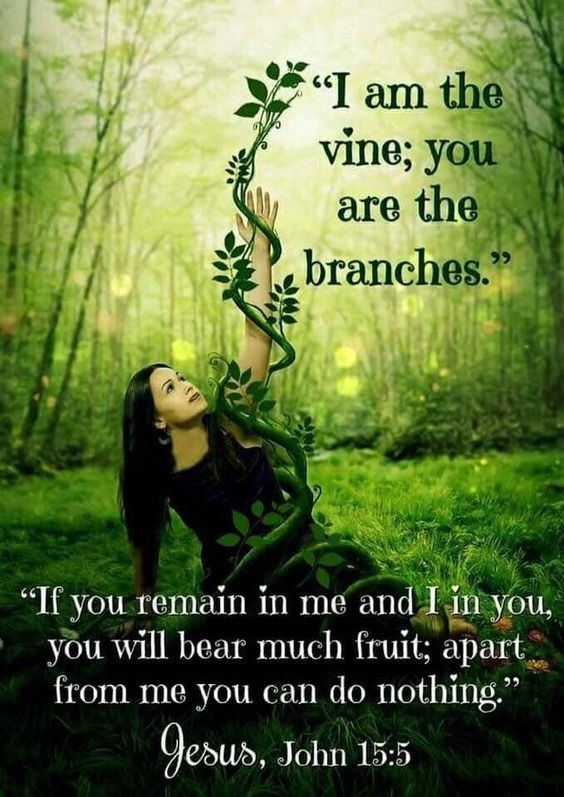 LDDeceptions's tweet image. #fruit #TRUE #Connect #success #Victory #Bible