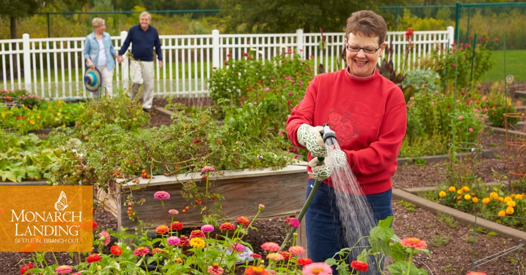 There’s something special about seeing a tiny seed transform into a beautiful plant. Gardening is a favorite hobby of residents at Monarch Landing, and we're always curious: What are you growing in your garden this spring? 🍅🥕

#NationalGardenMonth