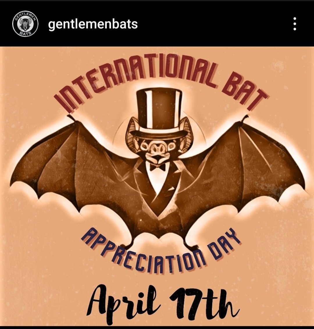 It's International Bat Day!
Bats have an important appearance in Whispers of the Pale Witch. Shall we begin? 🕯 

🎨: @gentlemenbats
#batday #bats #batsneedfriends #InternationalBatAppreciationDay #lovebats #clues #bookclues #suspense #horror 
#WritingCommmunity #amquerying