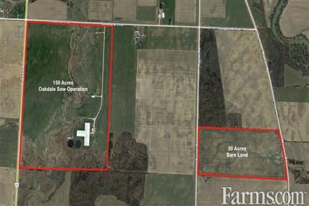 FarmsSwine's tweet image. 158 acre #hog farm is available in Florence, Ontario ⤵️

2500 #sow barn located at the back of this 158 acre +/- property that included 100 acres of workable land.

🔗farms.com/farm-real-esta…

#OntAg #FarmRealEstate #AgTwitter #Swine #FarmForSale #Pig #Farmland #Pigs @farm_ontario