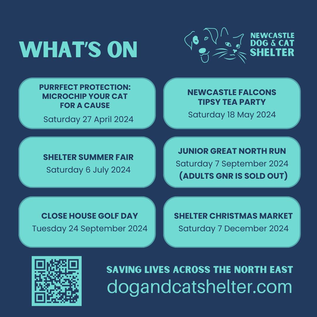 📢 We have a range of exciting events coming up over the coming months 🐶🐈 From Cat microchipping, to our summer fair 🎪 and lots more too.

💻Visit dogandcatshelter.com/events/ for further information.

#NewcastleDogCatShelter #CharityEvents #CommunitySupport #Fundraising