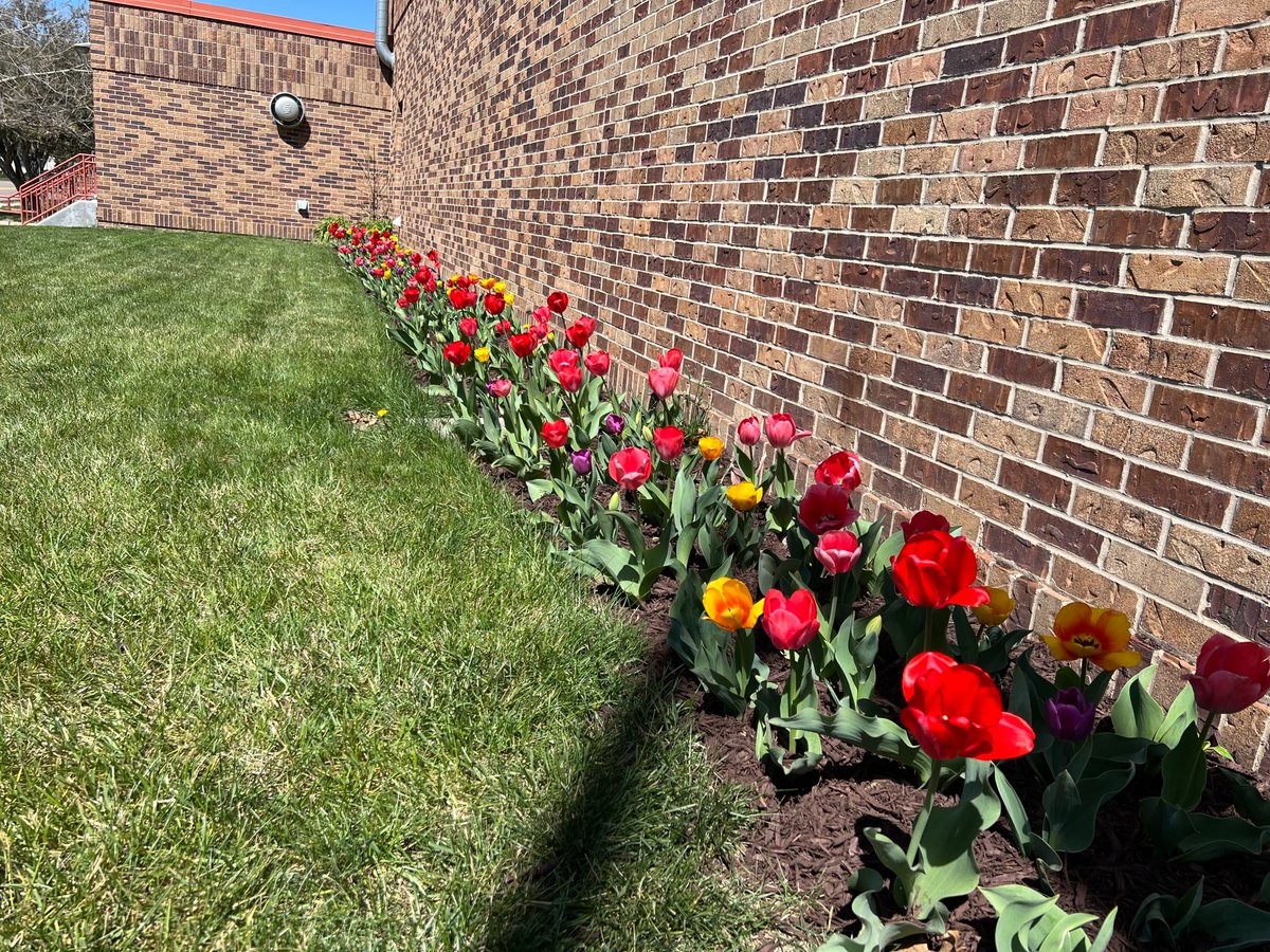 OmahaFireDept's tweet photo. Spring is in full bloom at OFD Station 5 🌷
Our firefighters take great pride in caring for their fire stations across our community! The Station 5 B-shift crew planted tulip bulbs last fall and they are now blooming beautifully.
#SpringIsHere #OmahaSpring https://t.co/rnrsv0o1JZ