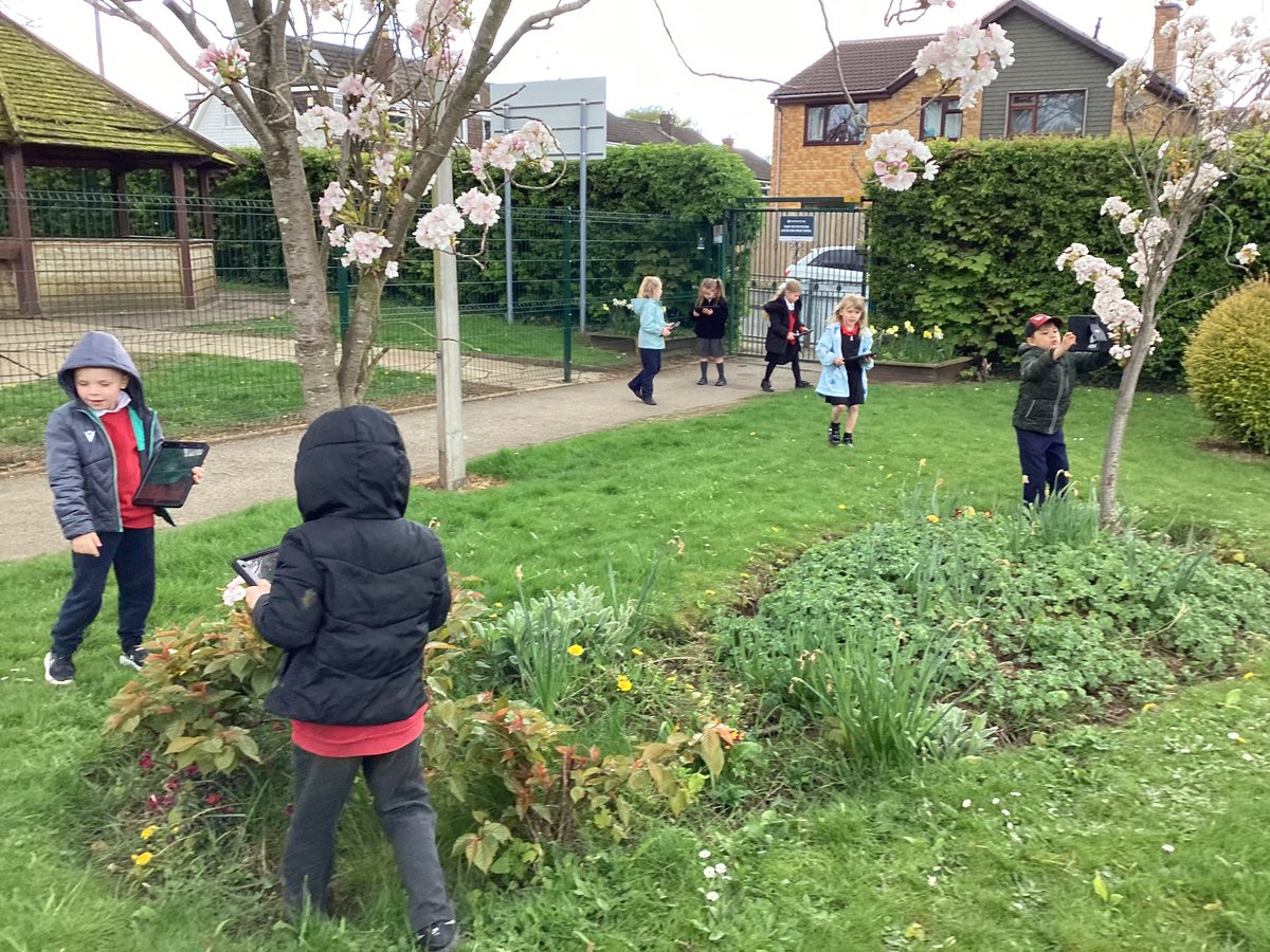 AnParkInfants's tweet image. We had lots of fun using the iPads to take photographs of signs of Spring around our school grounds. We will be selecting the best photographs to make a Spring poster using PicCollage #apicomputing #apiscience #apiyear1