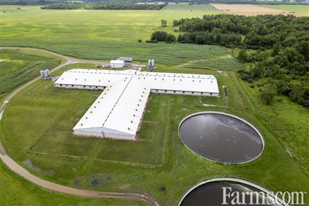 158 acre #hog farm is available in Florence, Ontario ⤵️ 2500 #sow barn located at the back of this 158 acre +/- property that included 100 acres of workable land. 🔗farms.com/farm-real-esta… #OntAg #FarmRealEstate #AgTwitter #Swine #FarmForSale #Pig #Farmland #Pigs @farm_ontario