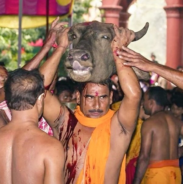 AzamkhanMp022's tweet photo. ये उसी सभ्य समाज के लोग है जो बकरा-ईद पर जानवर की हत्या नही करनी चाहिए का ज्ञान देते है
दोगले..., 😐 https://t.co/abCI70u3fn