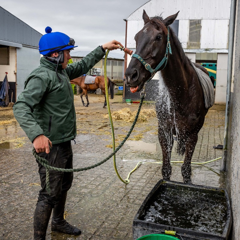 😍 Galopin Des Champs this morning 📷 INPHO Sports