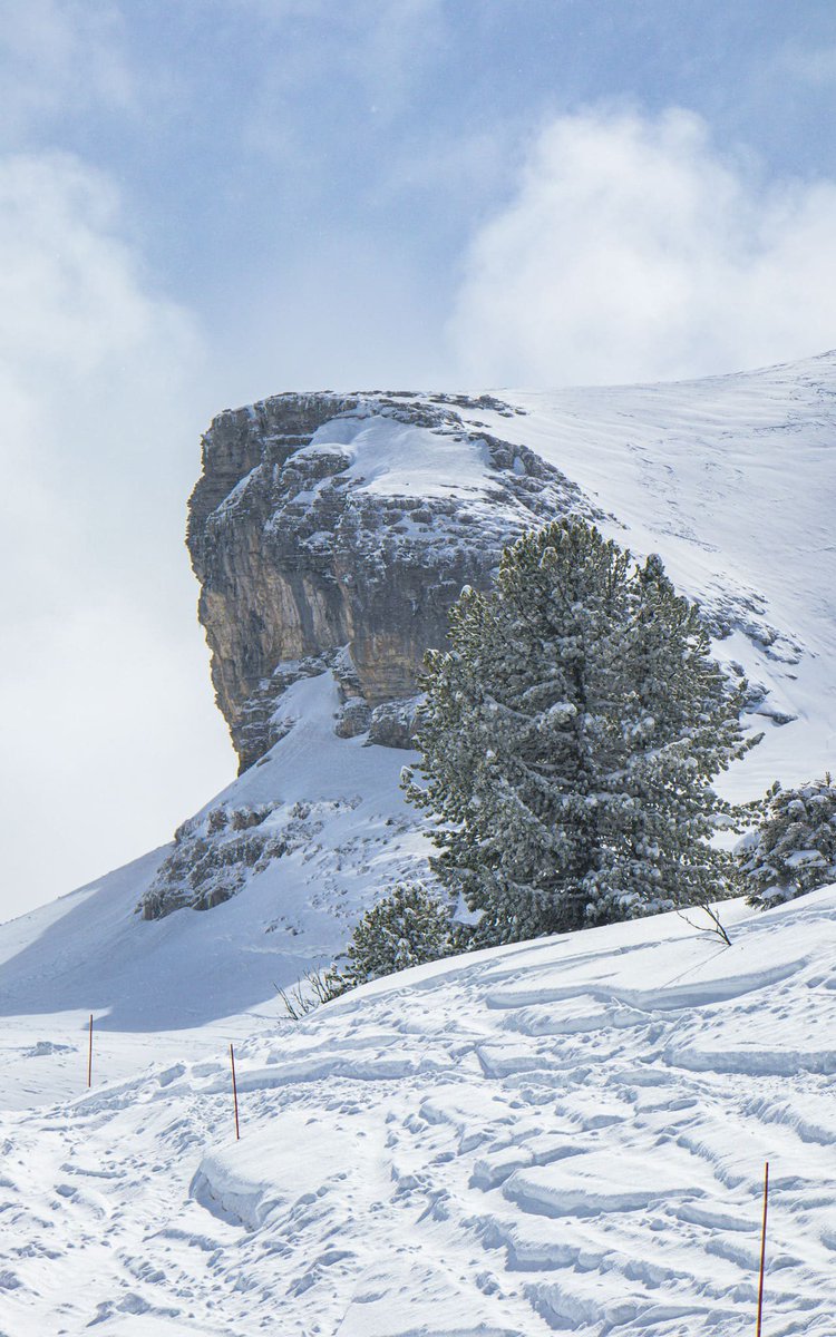 FLAINESki's tweet photo. Janvril ❤️
Un petit coup de pinceau pour enchanter le paysage ❄️✨
#cacestflaine
Janpril ❤️
A touch of white to enchant the landscape ❄️✨
#springski or #januaryski https://t.co/c4yyH4BG2F