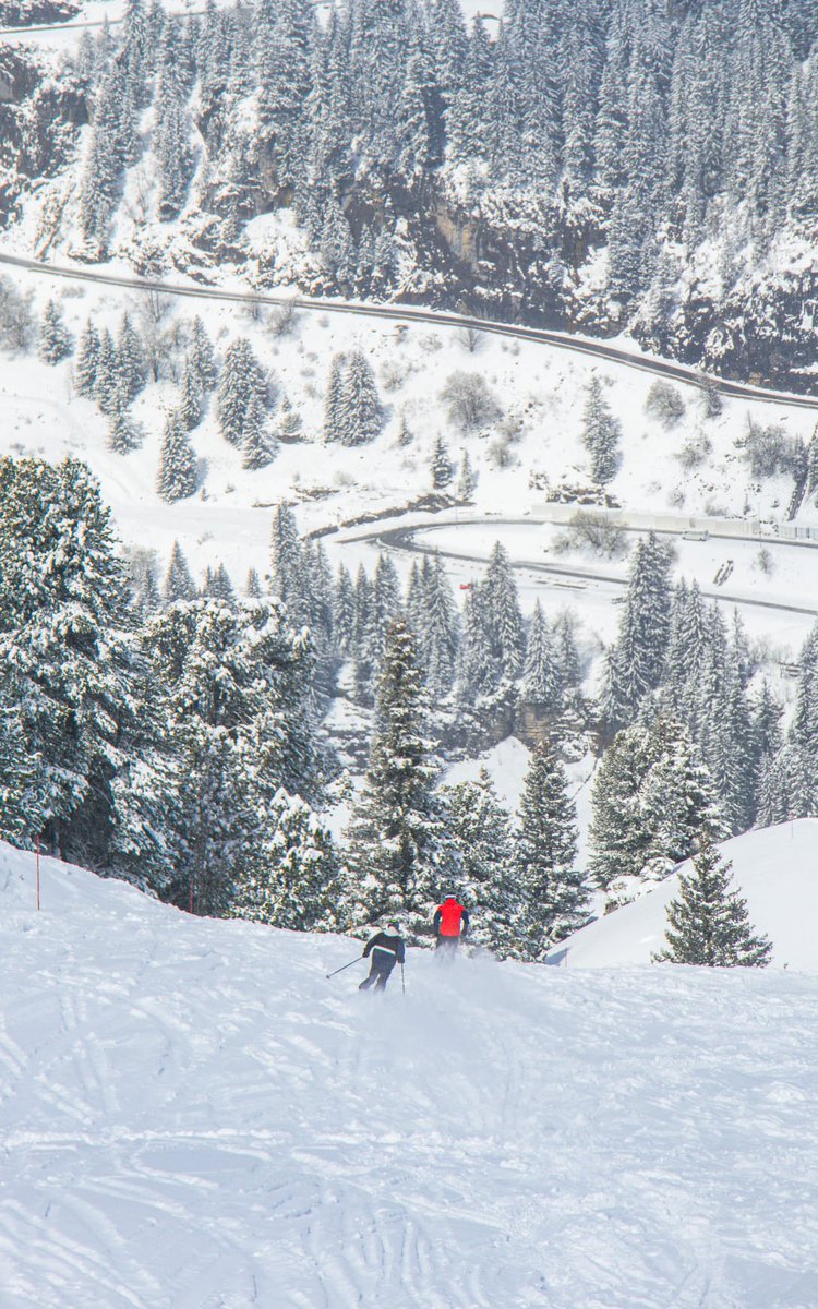 FLAINESki's tweet photo. Janvril ❤️
Un petit coup de pinceau pour enchanter le paysage ❄️✨
#cacestflaine
Janpril ❤️
A touch of white to enchant the landscape ❄️✨
#springski or #januaryski https://t.co/c4yyH4BG2F
