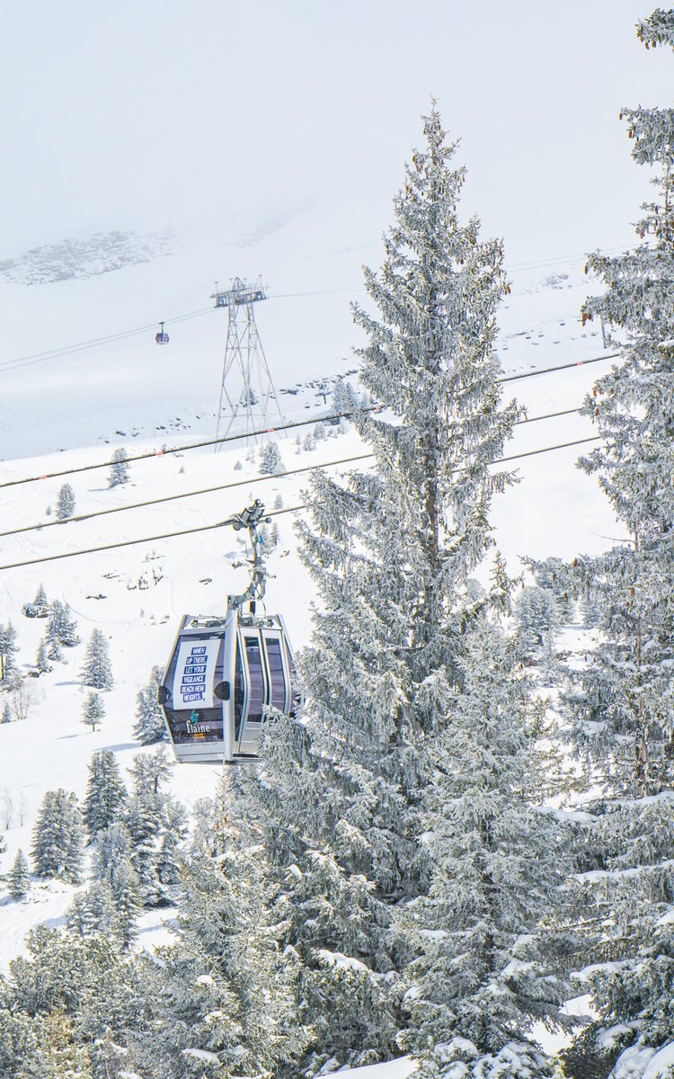 FLAINESki's tweet photo. Janvril ❤️
Un petit coup de pinceau pour enchanter le paysage ❄️✨
#cacestflaine
Janpril ❤️
A touch of white to enchant the landscape ❄️✨
#springski or #januaryski https://t.co/c4yyH4BG2F