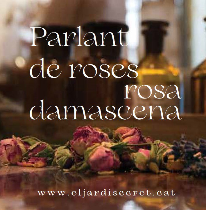 El Jardí Secret tweet media