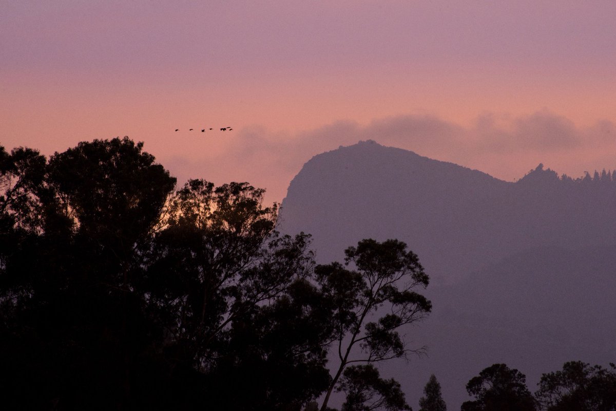 A lo lejos, nuestra querida Peña de Juaica. Una hermosa fotografía que nos recuerda los valioso que es nuestro municipio. 

#ConcejoDeTenjo2024  
#Tenjo 
#PeñaDeJuaica