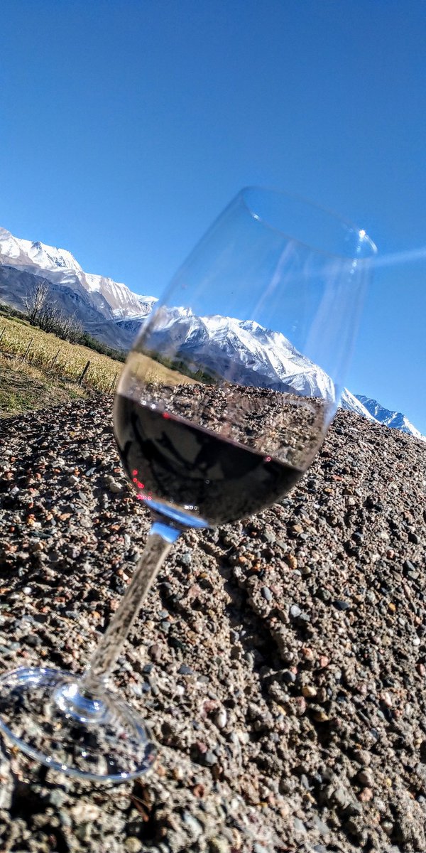 SommelierMza's tweet photo. Mañana en #LaCarrera 🍷...diseñando nuevo menú. #ClubDeVinos #Tupungato #Mendoza https://t.co/PzGZajrESp