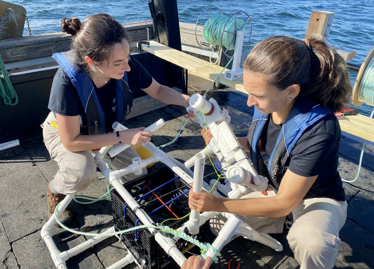 .@NOAA and @OceanDiscLeague partner to accelerate deep-ocean exploration through the development of low-cost tools & technologies that give greater, more equitable access to broader public & scientific communities to #explore the deep #ocean: noaa.gov/news-release/n…