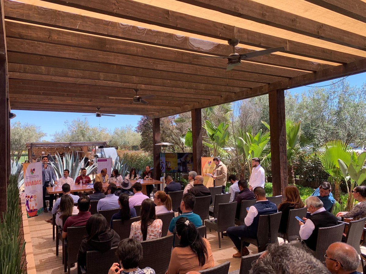 Serán las Viñadas un impulso turísitico de clase mundial #BajaCalifornia #Ensenada #ValledeGuadalupe #Viñadas #industriavinícola #SECTURE #CANIRAC #PROVINO #turismo acortar.link/NZjYix