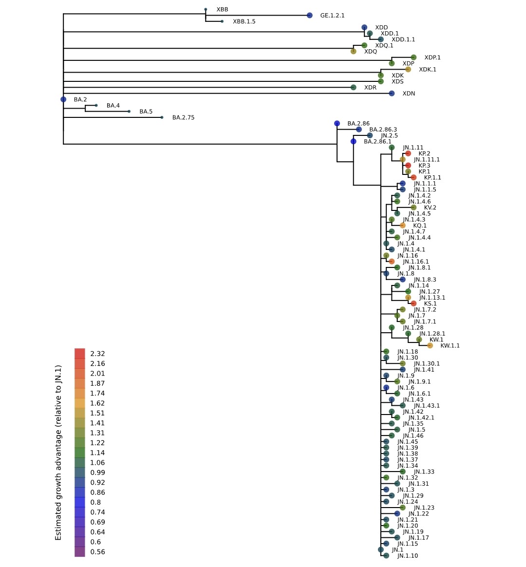 3) The growth advantage estimates are shown in the provided charts. 
The inferred growth advantage is mapped onto the Nextclade-curated phylogeny, which only includes relatively competitive variants.