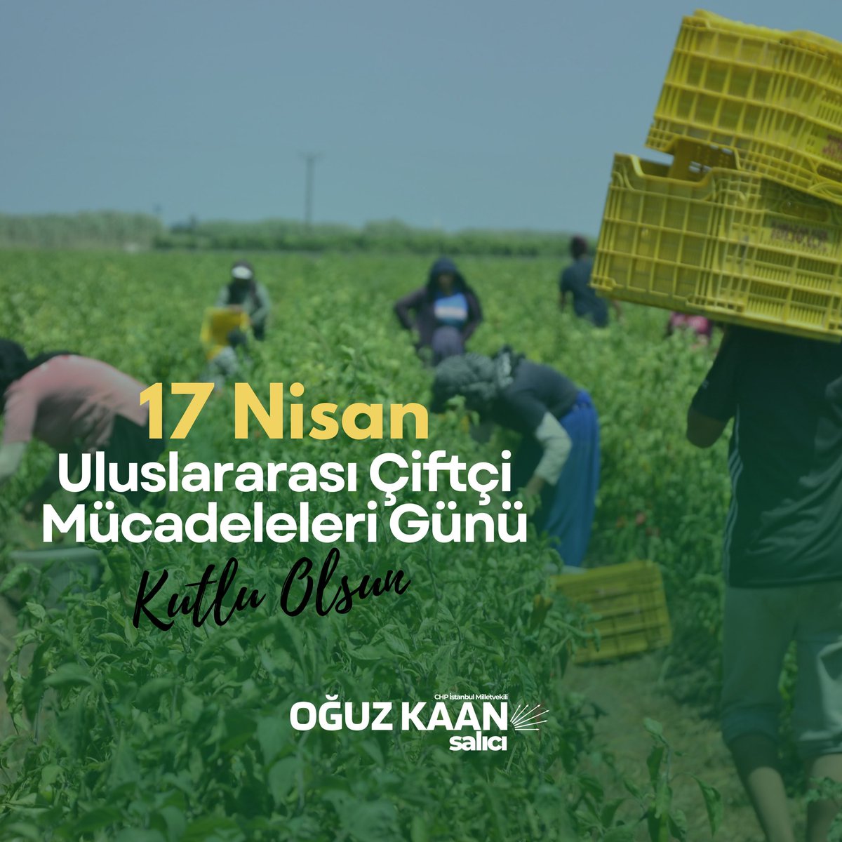 Bugün 17 Nisan Uluslararası Çiftçi Mücadeleleri Günü. Sadece çiftçilerin değil, topraksız köylülerin ve mevsimlik tarım işçilerinin de günü. Tarım ve gıda bizim için bir beka meselesi. Yerli çiftçi desteklenmediği için enflasyon yüksek. Gıda enflasyonunda OECD lideriyiz ve