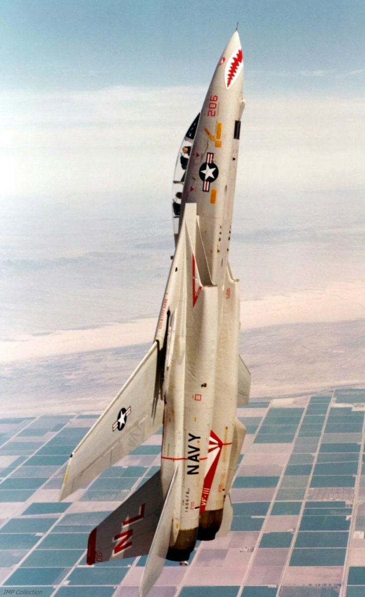 Going High! A fantastic view of an F-14 Tomcat from VF-111 'Sundowners' going vertical (Circa May 1979). Is it just me, or do I see wrinkles on the fuselage, similar to the ones found on B-52s? #avgeeks #aviation #aviationdaily #aviationlovers #USNavy